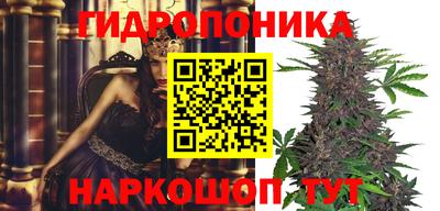 прущие крисы Татарск