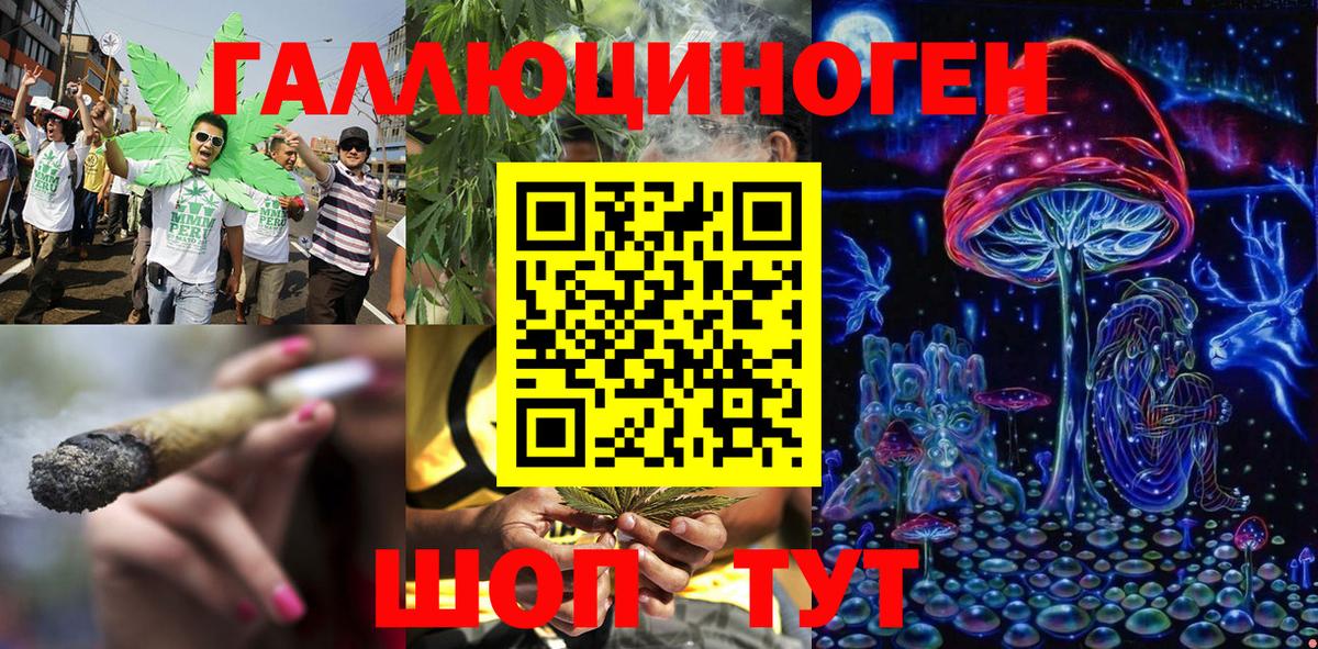Псилоцибиновые грибы MAGIC MUSHROOMS  Галлюциногенные грибы Psilocybine cubensis  Вход с VPN  Валуйки 