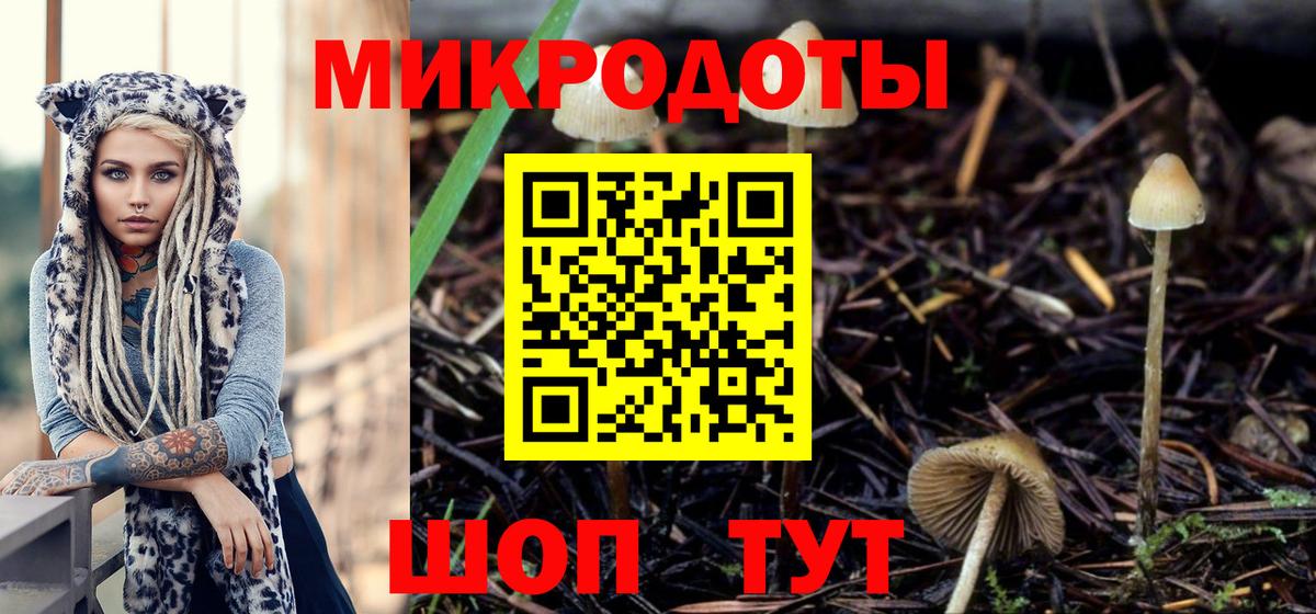 Галлюциногенные грибы прущие грибы Валуйки